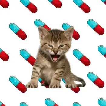 METHAMPHETA•MEME