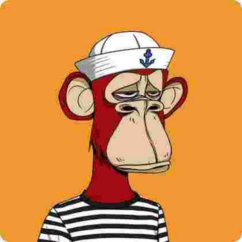 BORED•APE•YACHTS•CLUB