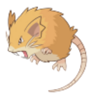 RATS•IN•THE•SATS