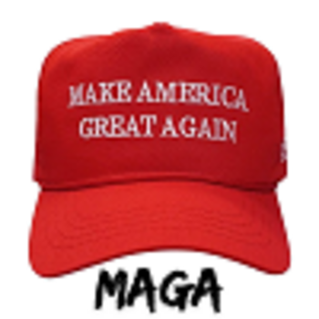 MAGA•THE•DONALD•TRUMP