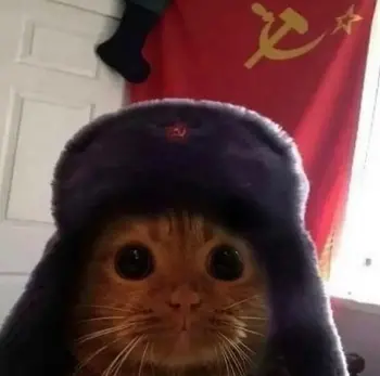 COMMUNIST•KITTY