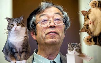 SATOSHIS•CATS