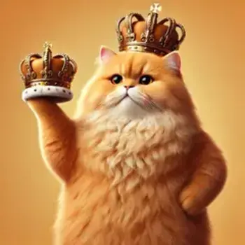LAZY•KING•CHUBBY•CAT