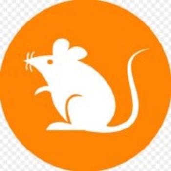 RATSRATS•GO•TO•THE•MOON