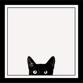 CURIOSITY•KILLED•THE•CAT