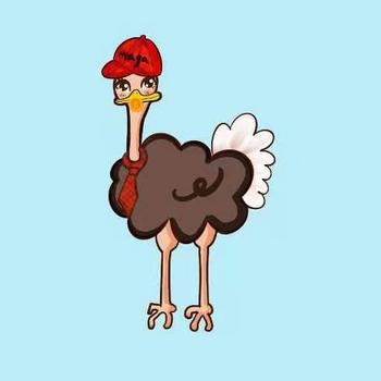 OSTRICH•FIGHT•BIDEN