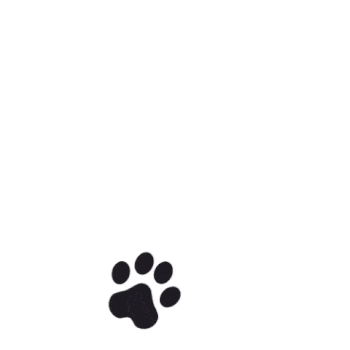 CATIZEN•TOKEN•RUNES