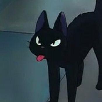 BOBA•BIBA•CATS