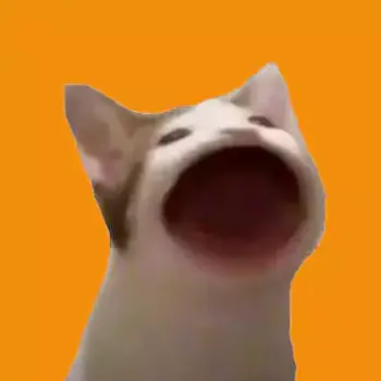 POPCAT•ON•OPNET
