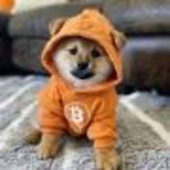 DOG•GO•TO•THE•MQON
