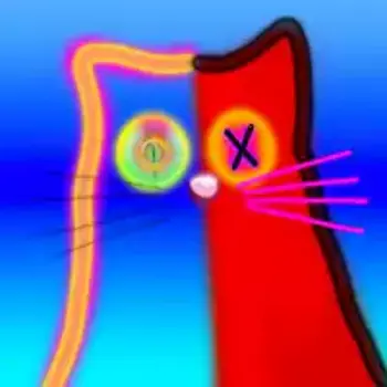 QUANTUM•CATS