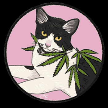 COPY•CAT•BITCOIN