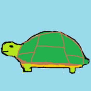 RUNECOIN•TURTLE