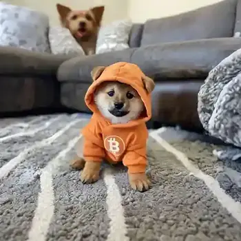 DOG•GO•TO•THE•MOM