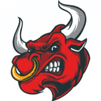 BIGGEST•BULL•RUN•EVER