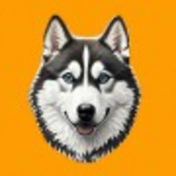 $DOG