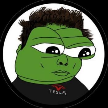 frog elon 币种