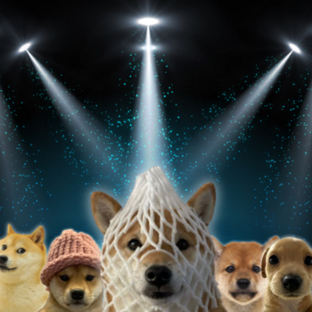 Make Dogs Memeable Again 币种
