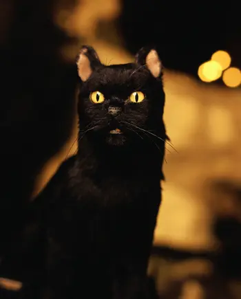 Token Salem