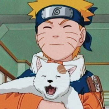 Naruto 币种