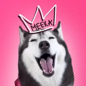 token TikTok Talking Husky