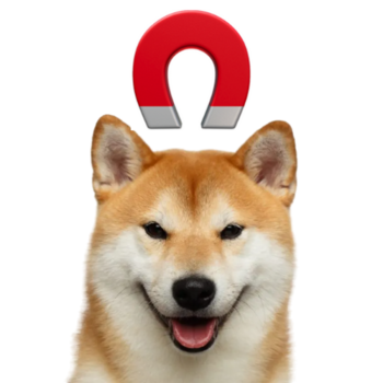 Jeton Magnet Dog⠀⠀⠀⠀⠀⠀⠀⠀⠀⠀⠀⠀⠀⠀⠀⠀⠀⠀⠀⠀⠀⠀⠀⠀⠀⠀⠀⠀⠀⠀⠀⠀⠀⠀⠀⠀⠀6BXhYZY5tssxychfFFBftQuFTukRAzbbLZsyQQPbpump