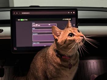 token Catty by Tesla