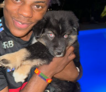 token ISHOWSPEED DOG