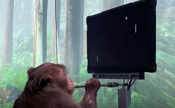 Neuralink Monkey 幣種