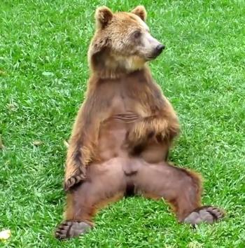 Jeton Bearish Balls