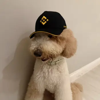Token The Chief Fur-nancial Advisor