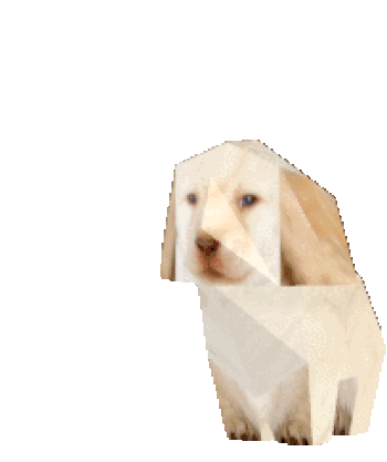Flipdog 幣種