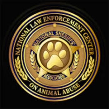 Token First NSA Token on GooglePlay