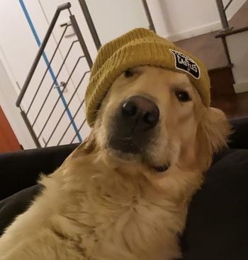 Token THOR