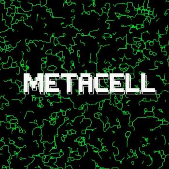 MetaCell 币种