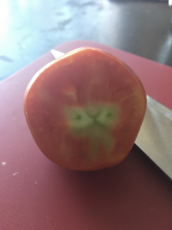 Token Tomato looks like cat face