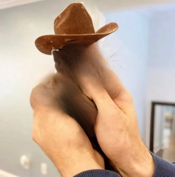 Token Invisible Pnut