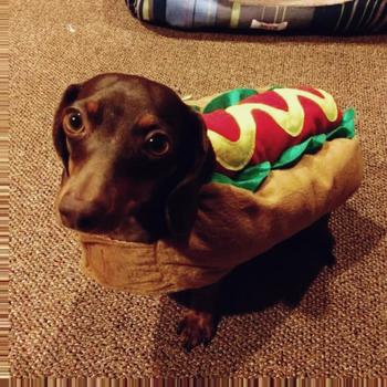 token HOTDOG