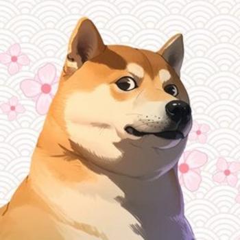 KABOSUSUKO 幣種