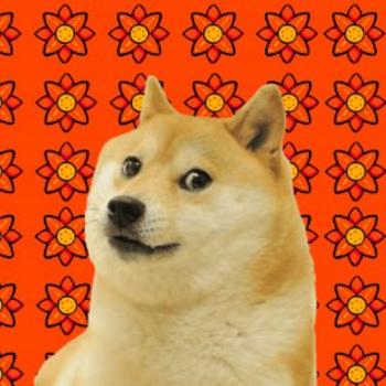 Karma Dog 幣種
