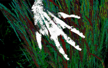 Токен Touching Grass