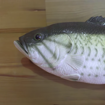 Token Billy Bass AI⠀⠀⠀⠀⠀⠀⠀⠀⠀⠀⠀⠀⠀⠀⠀⠀⠀⠀⠀⠀⠀⠀⠀⠀⠀⠀⠀⠀⠀⠀⠀⠀⠀⠀⠀⠀⠀3rsLopLpKA926Ckq5unv2XUixSAC2Z1hJXVJrDQapump