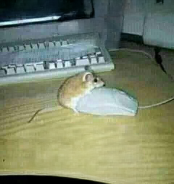 Токен incest