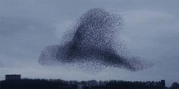 Swarm⠀⠀⠀⠀⠀⠀⠀⠀⠀⠀⠀⠀⠀⠀⠀⠀⠀⠀⠀⠀⠀⠀⠀⠀⠀⠀⠀⠀⠀⠀⠀⠀⠀⠀⠀⠀⠀JBSVUpKgYNHt4GLtNebQxTJmZgftTMWENQrziHtGpump 幣種