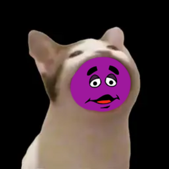 grimace cat 币种