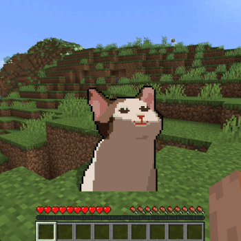 Popcat In Minecraft 币种