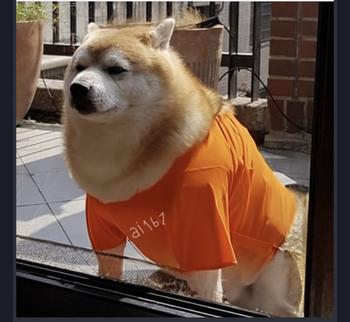 token Dog Language Model
