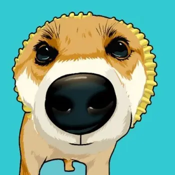 Token Pochita