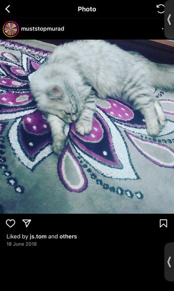 Token Murad's Cat Lily 