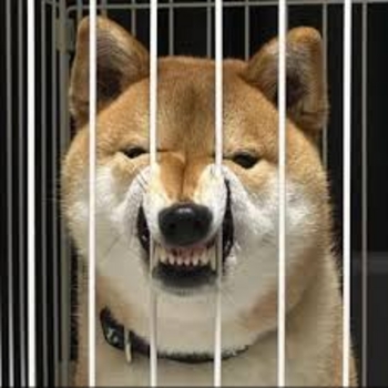 Token dog behind bars